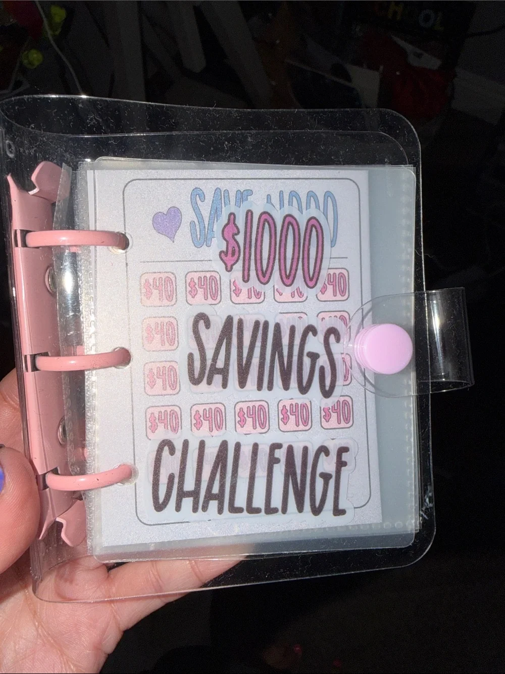 Amazon Green Money Saving Binder with Pink Mini Envelope Organizer